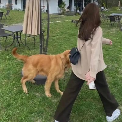 麦克与丽塔